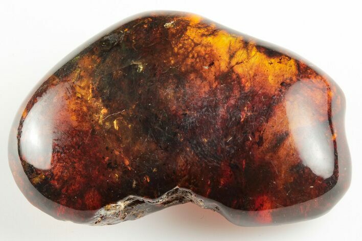 Polished Chiapas Amber ( grams) - Mexico #193277
